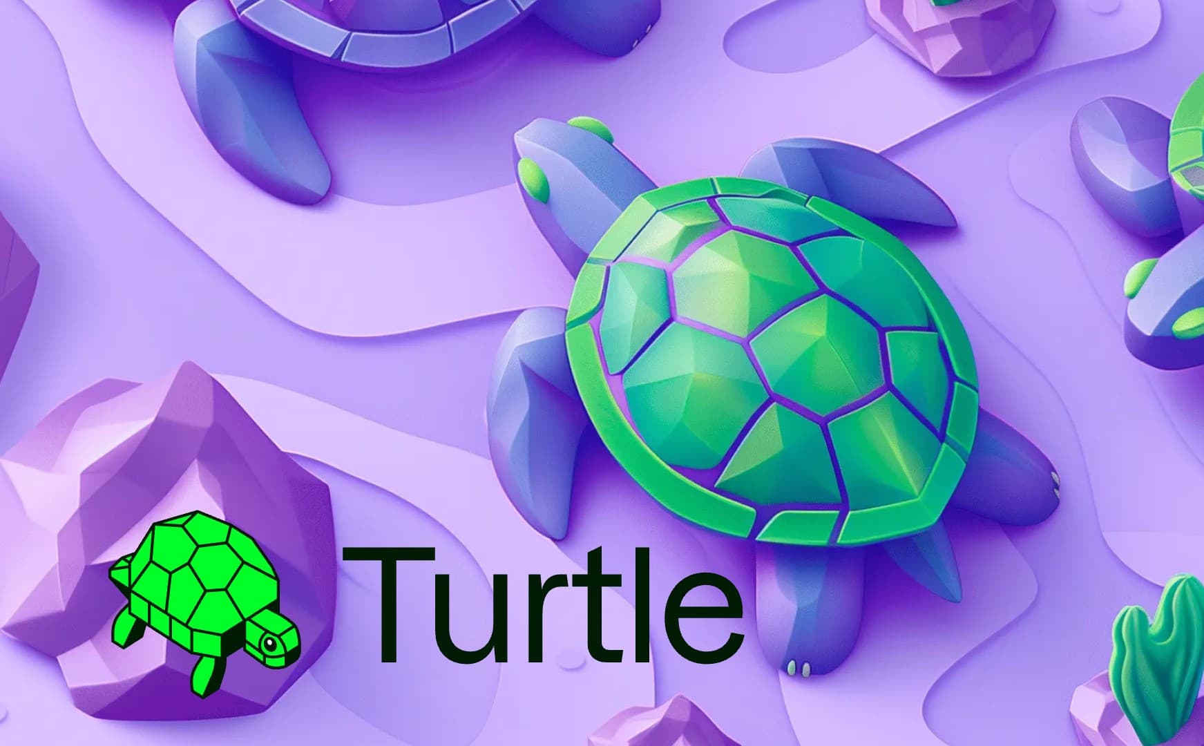 Turtle